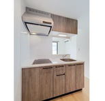 東京都豊島区南大塚１丁目 賃貸マンション 2DK